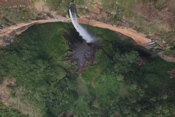 Old Bisbee Roasters Uganda Sipi Falls AA
