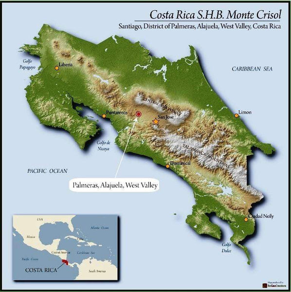 Costa Rica Monte Crisol