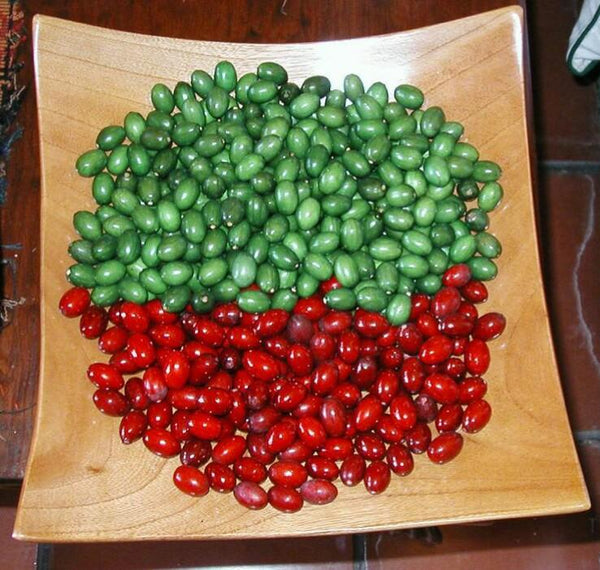 Guatemala Huehuetenango MAM