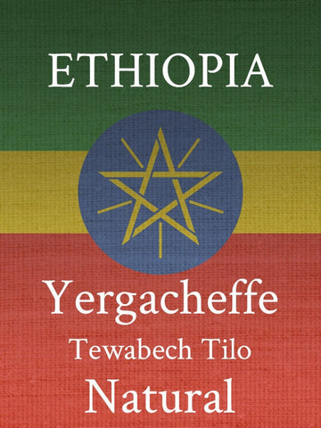 Old Bisbee Roasters Ethiopia Yirgacheffe Natural by Tewabech Tilo