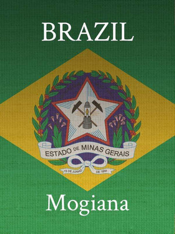 Old Bisbee Roasters Brazil Mogiana