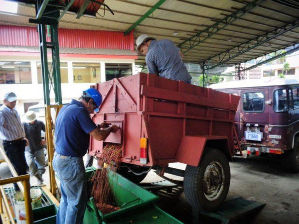 Old Bisbee Roasters Costa Rica El Poeta
