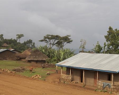 Ethiopia Sidamo Guji Natural