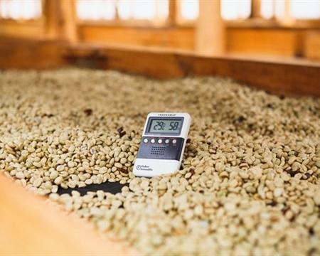 Old Bisbee Roasters Guatemala Antigua Bella Carmona