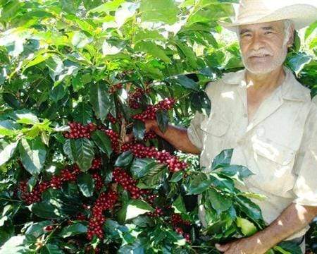 Honduras Siguatepeque Cerro Azul