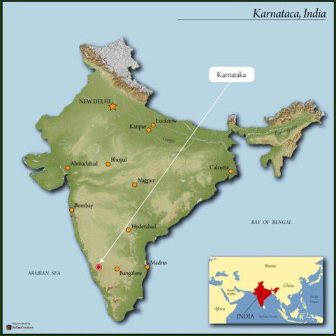 India Mysore Nuggets is Extra Bold!