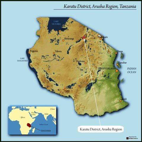 Tanzania Finagro Estate Peaberry
